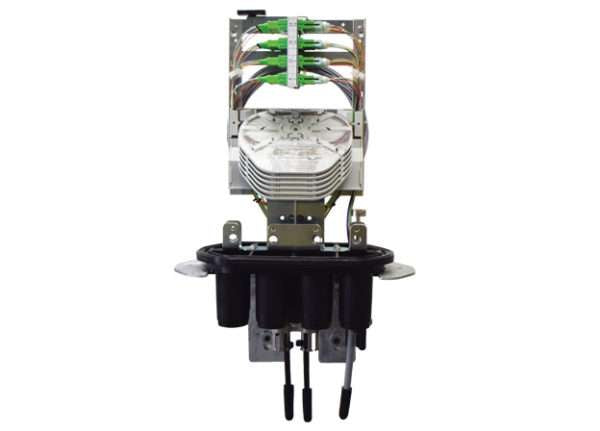 DOC2 and CDOC2 Demarcation Optical Closure